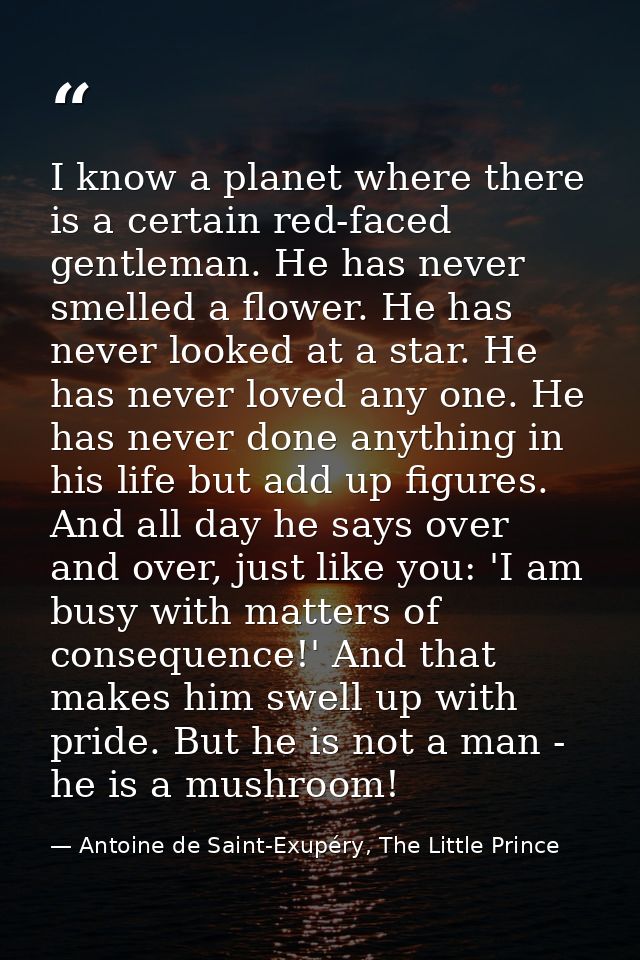 I know a planet where there is a certain red-faced gentleman. He has never smelled a flower. He has never looked at a st — Antoine de Saint-Exupéry, The Little Prince