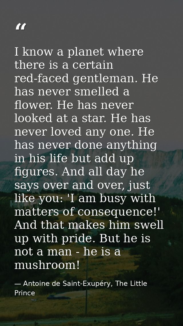 I know a planet where there is a certain red-faced gentleman. He has never smelled a flower. He has never looked at a st — Antoine de Saint-Exupéry, The Little Prince