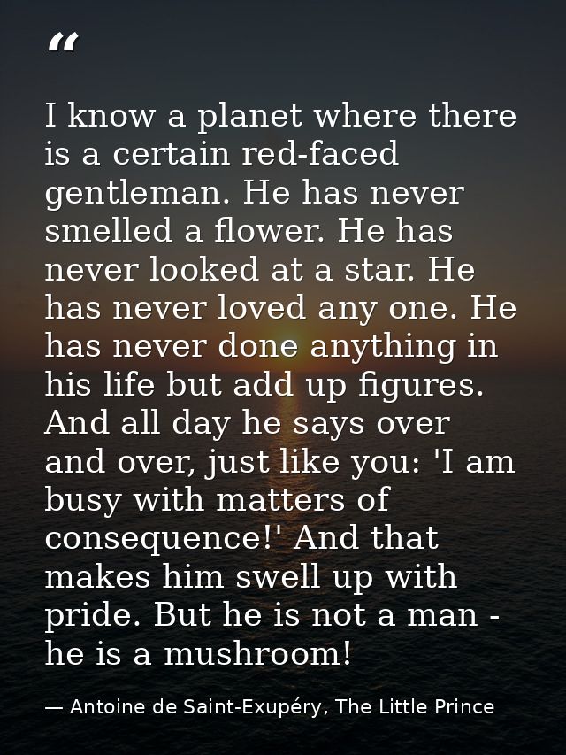 I know a planet where there is a certain red-faced gentleman. He has never smelled a flower. He has never looked at a st — Antoine de Saint-Exupéry, The Little Prince