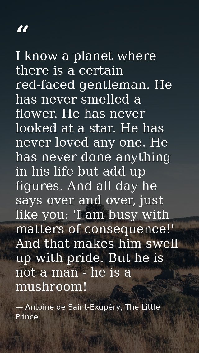 I know a planet where there is a certain red-faced gentleman. He has never smelled a flower. He has never looked at a st — Antoine de Saint-Exupéry, The Little Prince