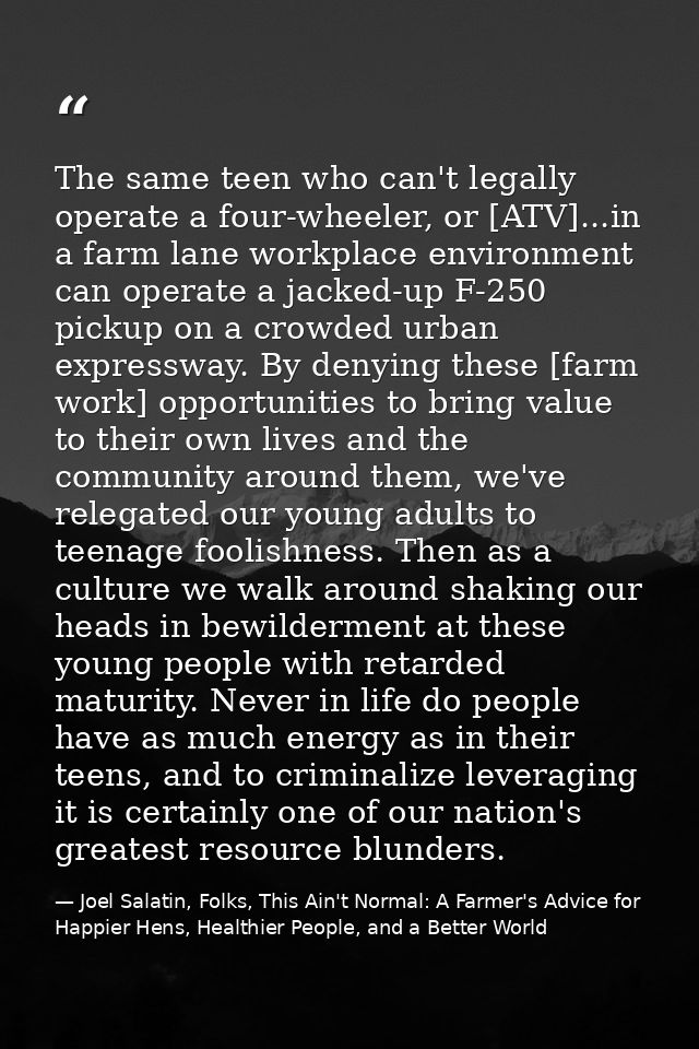 The same teen who can't legally operate a four-wheeler, or [ATV]...in a farm lane workplace environment can operate a ja — Joel Salatin, Folks, This Ain't Normal: A Farmer's Advice for Happier Hens, Healthier People, and a Better World