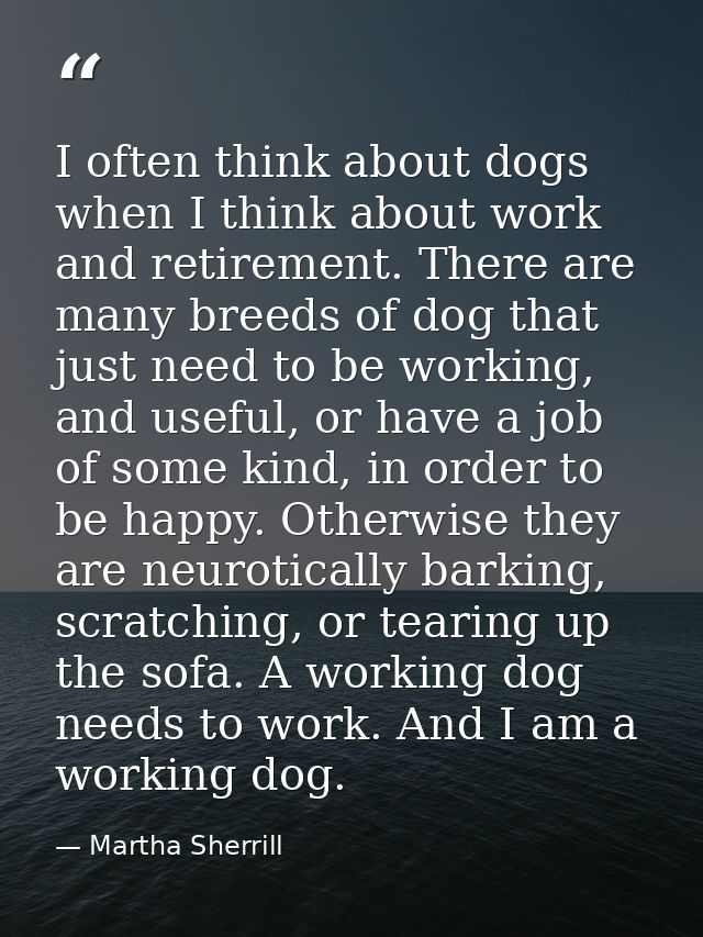 I often think about dogs when I think about work and retirement. There are many breeds of dog that just need to be worki — Martha Sherrill