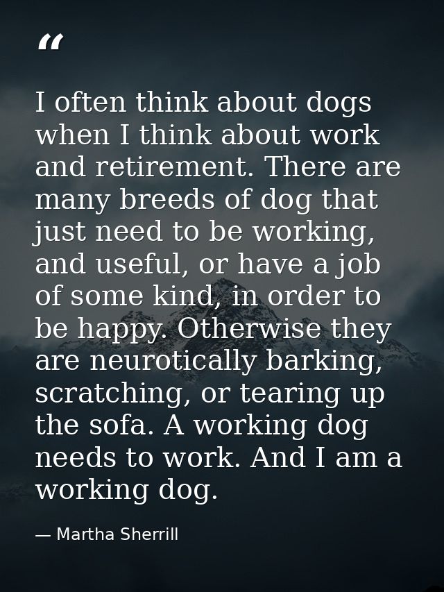 I often think about dogs when I think about work and retirement. There are many breeds of dog that just need to be worki — Martha Sherrill