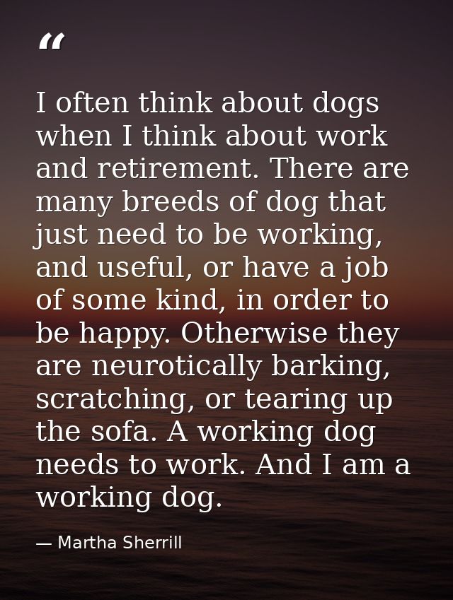 I often think about dogs when I think about work and retirement. There are many breeds of dog that just need to be worki — Martha Sherrill