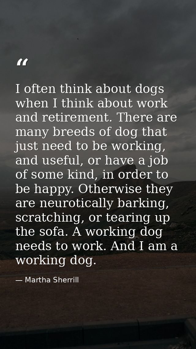 I often think about dogs when I think about work and retirement. There are many breeds of dog that just need to be worki — Martha Sherrill