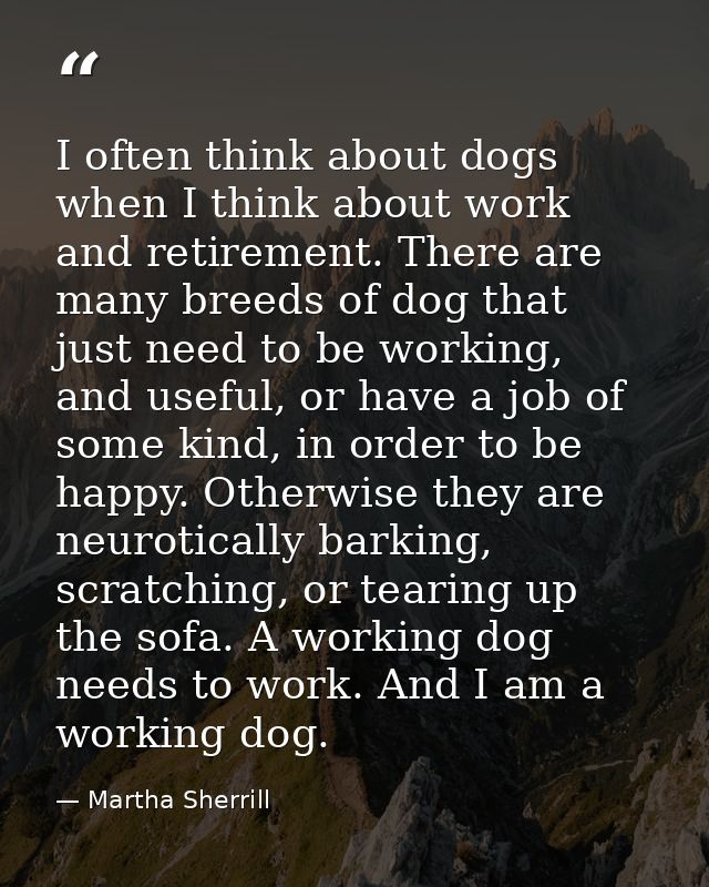 I often think about dogs when I think about work and retirement. There are many breeds of dog that just need to be worki — Martha Sherrill