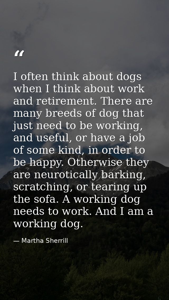 I often think about dogs when I think about work and retirement. There are many breeds of dog that just need to be worki — Martha Sherrill