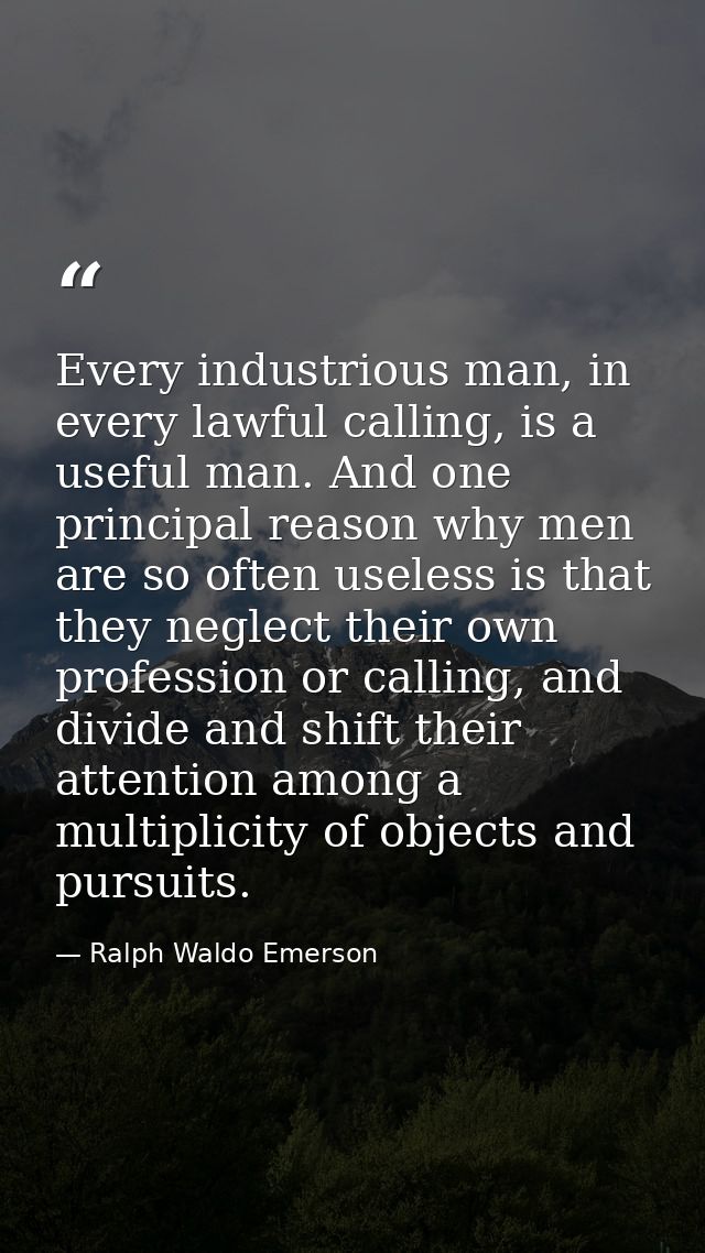 Every industrious man, in every lawful calling, is a useful man. And one principal reason why men are so often useless i — Ralph Waldo Emerson