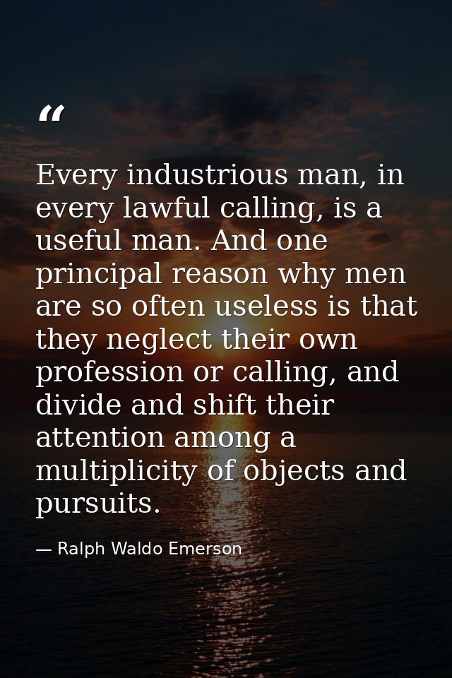 Every industrious man, in every lawful calling, is a useful man. And one principal reason why men are so often useless i — Ralph Waldo Emerson