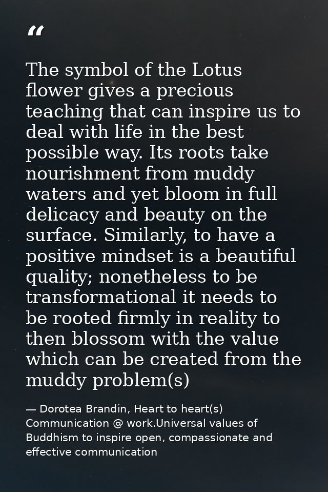 The symbol of the Lotus flower gives a precious teaching that can inspire us to deal with life in the best possible way. — Dorotea Brandin, Heart to heart(s) Communication @ work.Universal values of Buddhism to inspire open, compassionate and effective communication
