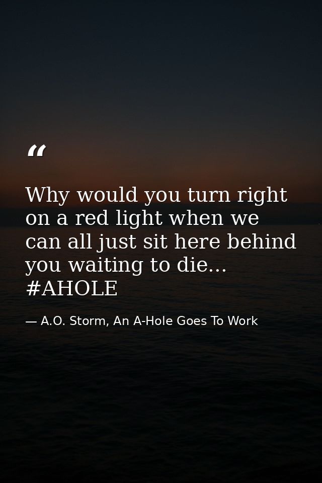 Why would you turn right on a red light when we can all just sit here behind you waiting to die... #AHOLE — A.O. Storm, An A-Hole Goes To Work
