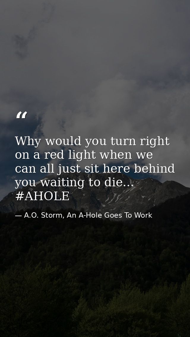 Why would you turn right on a red light when we can all just sit here behind you waiting to die... #AHOLE — A.O. Storm, An A-Hole Goes To Work
