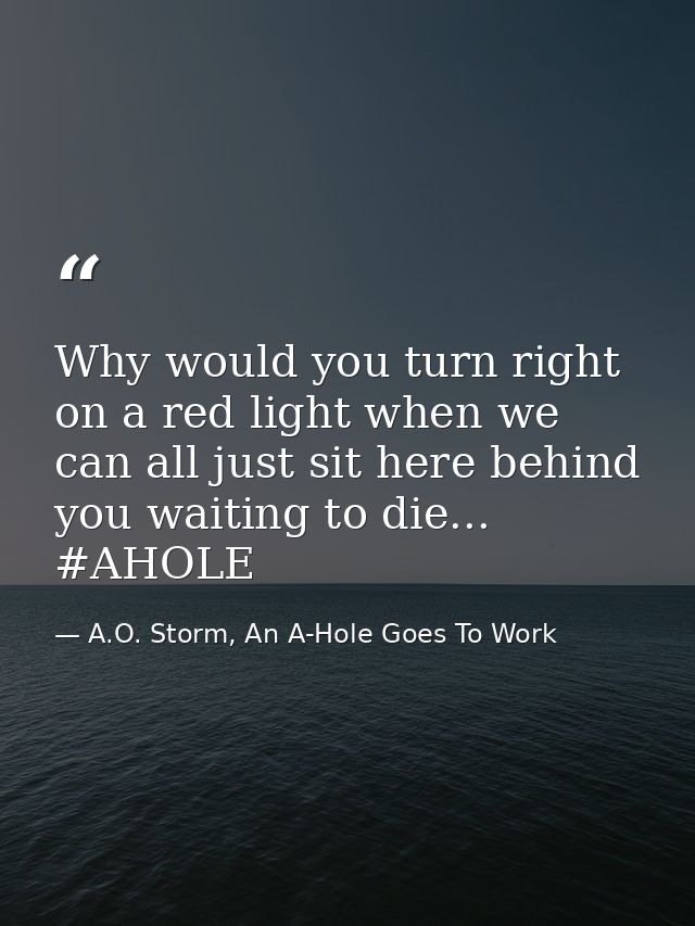 Why would you turn right on a red light when we can all just sit here behind you waiting to die... #AHOLE — A.O. Storm, An A-Hole Goes To Work