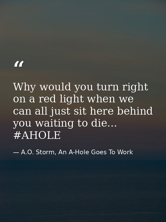 Why would you turn right on a red light when we can all just sit here behind you waiting to die... #AHOLE — A.O. Storm, An A-Hole Goes To Work