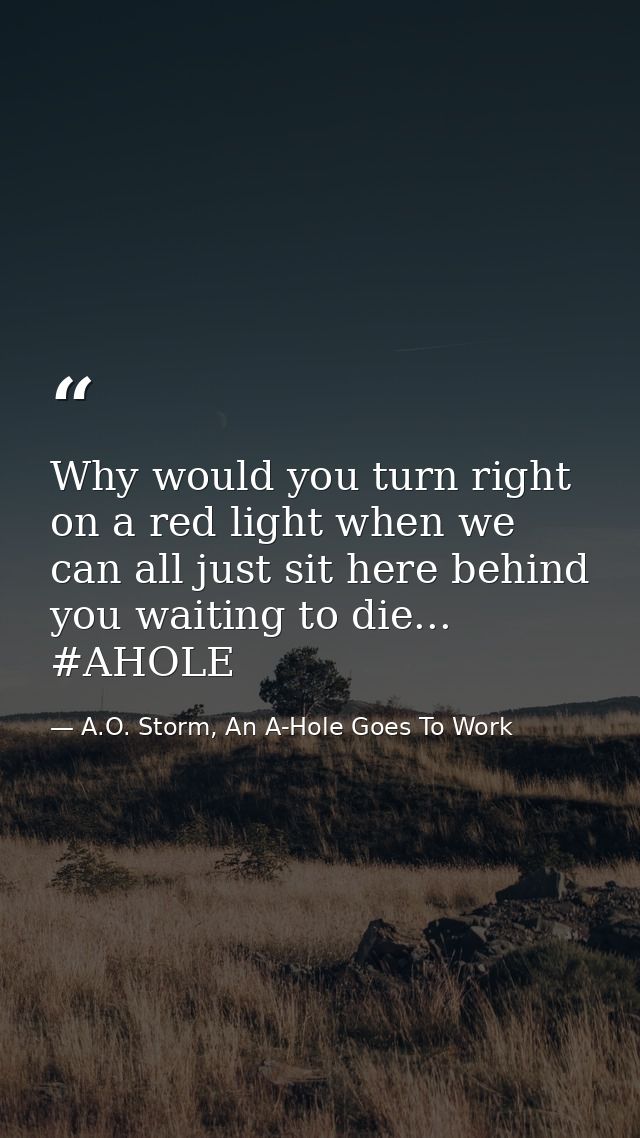 Why would you turn right on a red light when we can all just sit here behind you waiting to die... #AHOLE — A.O. Storm, An A-Hole Goes To Work