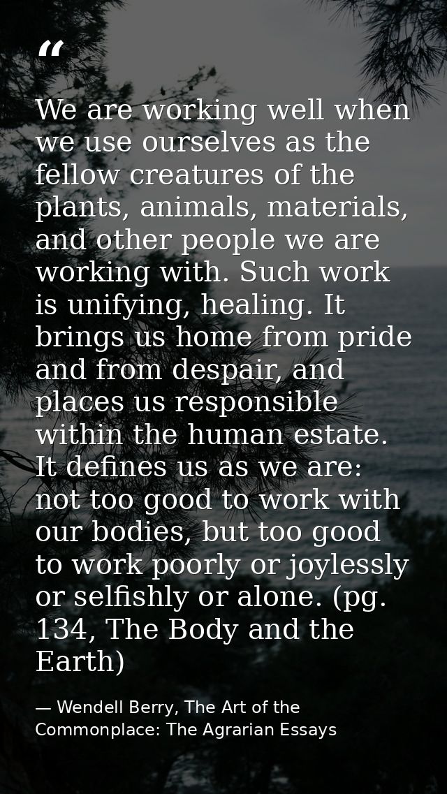 We are working well when we use ourselves as the fellow creatures of the plants, animals, materials, and other people we — Wendell Berry, The Art of the Commonplace: The Agrarian Essays