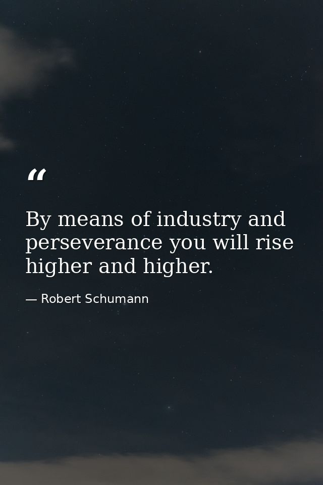 By means of industry and perseverance you will rise higher and higher. — Robert Schumann