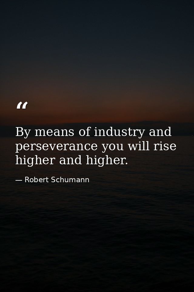 By means of industry and perseverance you will rise higher and higher. — Robert Schumann