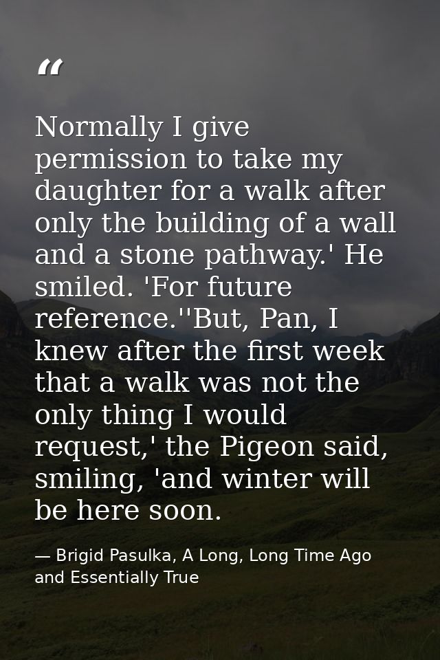 Normally I give permission to take my daughter for a walk after only the building of a wall and a stone pathway.' He smi — Brigid Pasulka, A Long, Long Time Ago and Essentially True