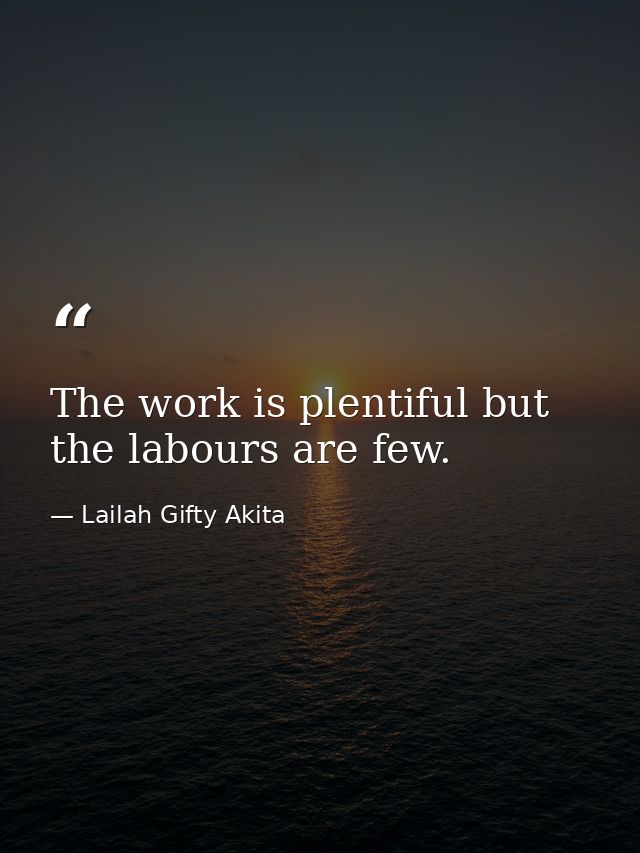 The work is plentiful but the labours are few. — Lailah Gifty Akita