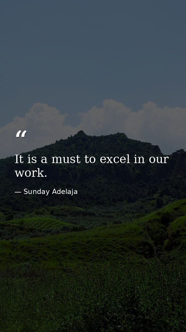 It is a must to excel in our work. — Sunday Adelaja