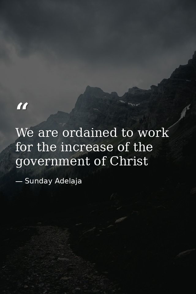 We are ordained to work for the increase of the government of Christ — Sunday Adelaja