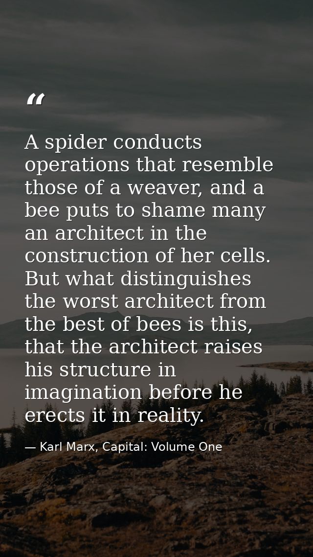 A spider conducts operations that resemble those of a weaver, and a bee puts to shame many an architect in the construct — Karl Marx, Capital: Volume One