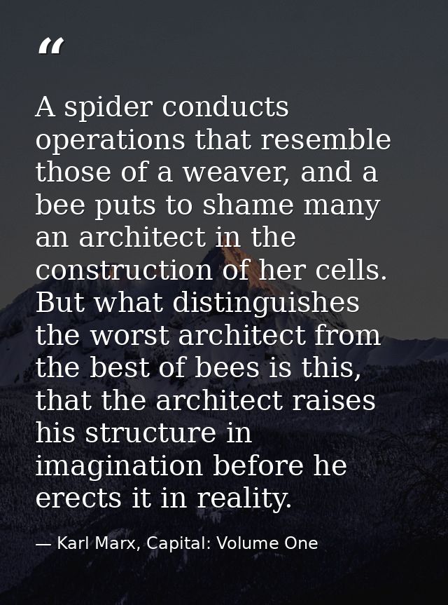 A spider conducts operations that resemble those of a weaver, and a bee puts to shame many an architect in the construct — Karl Marx, Capital: Volume One