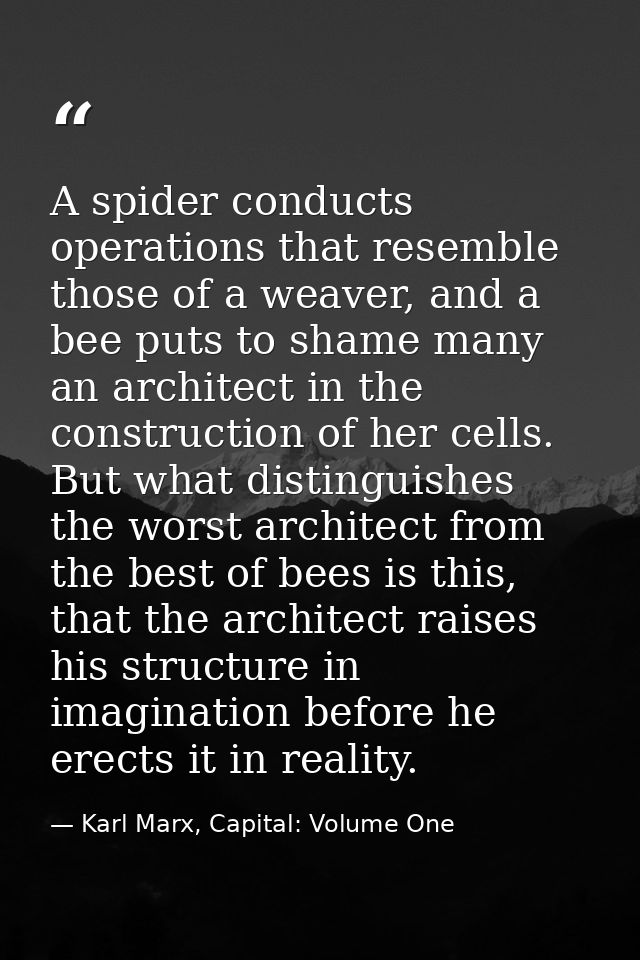 A spider conducts operations that resemble those of a weaver, and a bee puts to shame many an architect in the construct — Karl Marx, Capital: Volume One