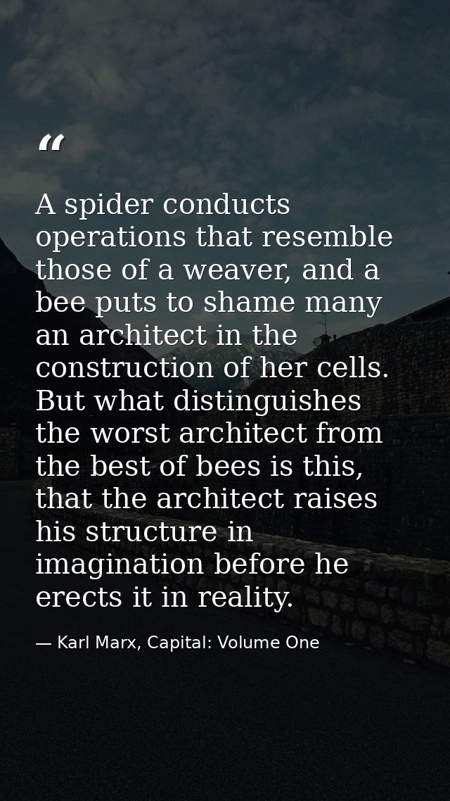 A spider conducts operations that resemble those of a weaver, and a bee puts to shame many an architect in the construct — Karl Marx, Capital: Volume One