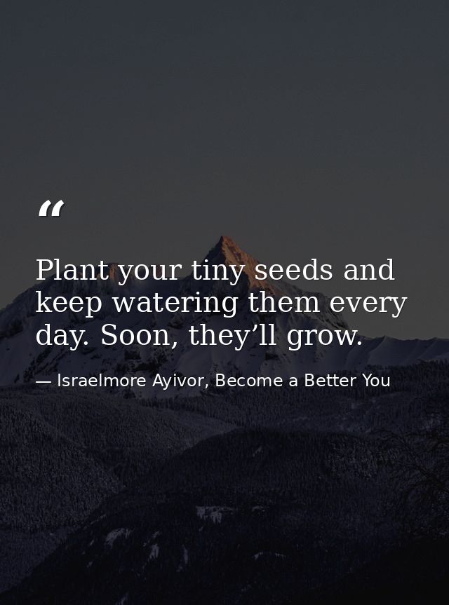 Plant your tiny seeds and keep watering them every day. Soon, they’ll grow. — Israelmore Ayivor, Become a Better You