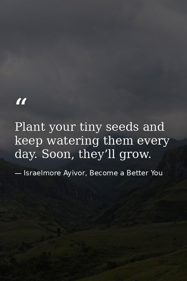 Plant your tiny seeds and keep watering them every day. Soon, they’ll grow. — Israelmore Ayivor, Become a Better You