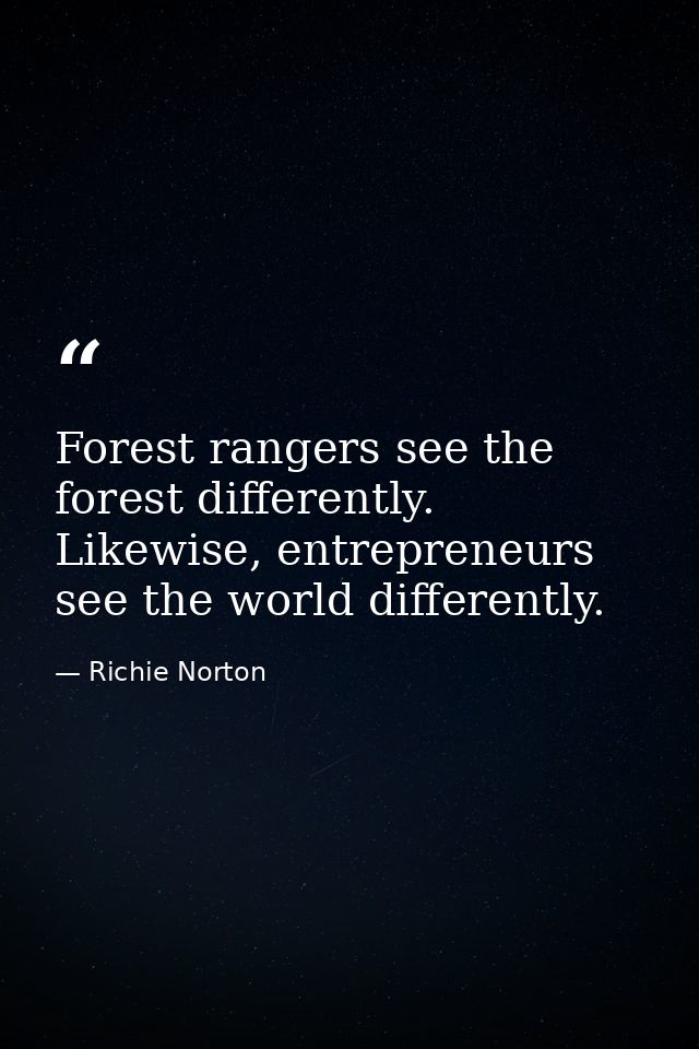 Forest rangers see the forest differently. Likewise, entrepreneurs see the world differently. — Richie Norton