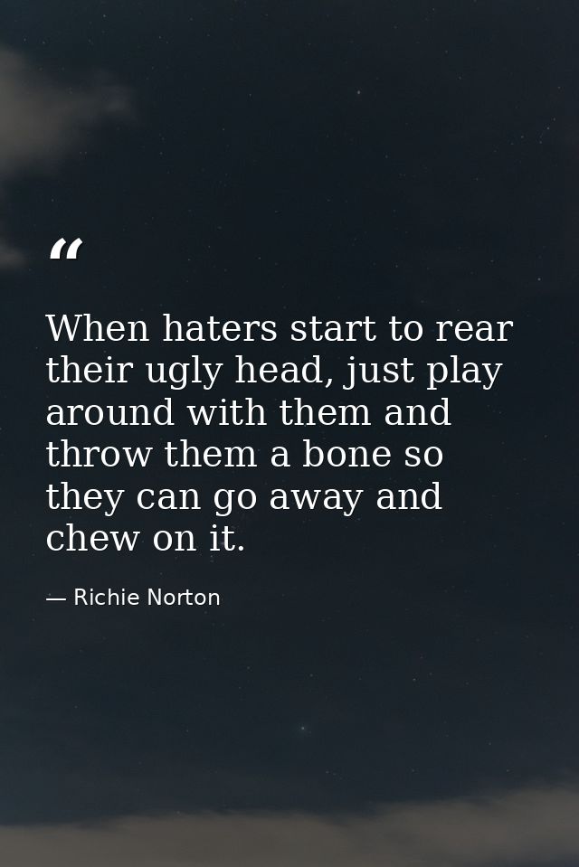 When haters start to rear their ugly head, just play around with them and throw them a bone so they can go away and chew — Richie Norton