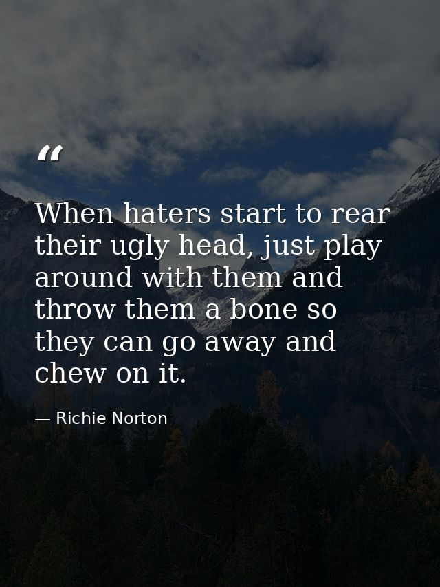 When haters start to rear their ugly head, just play around with them and throw them a bone so they can go away and chew — Richie Norton