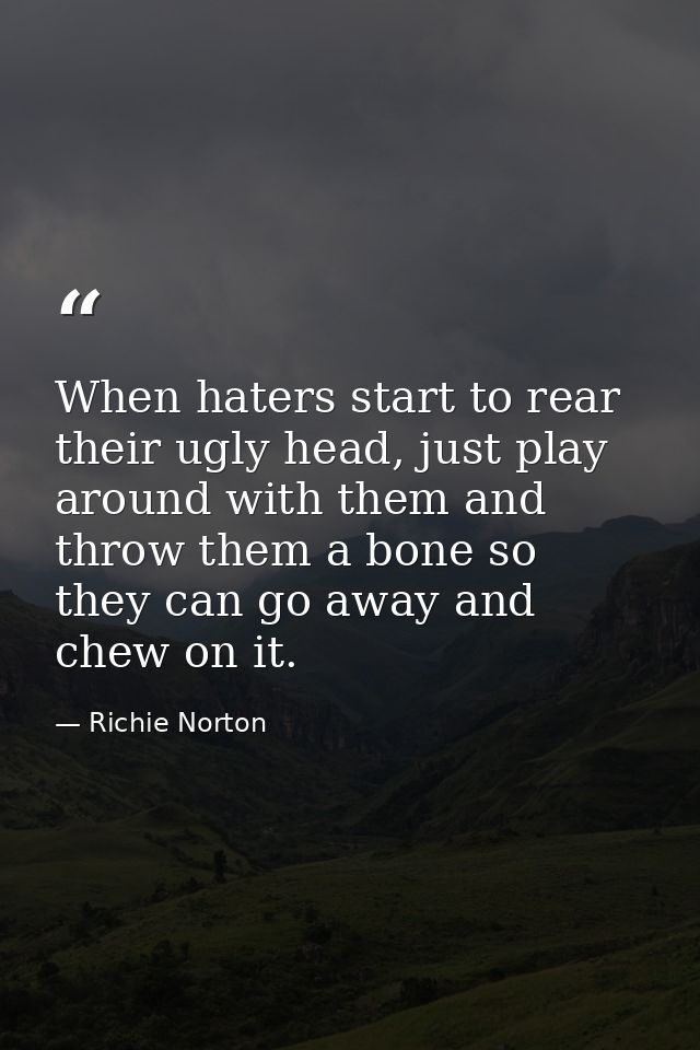When haters start to rear their ugly head, just play around with them and throw them a bone so they can go away and chew — Richie Norton