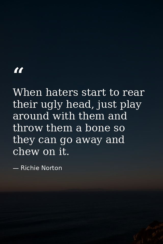 When haters start to rear their ugly head, just play around with them and throw them a bone so they can go away and chew — Richie Norton