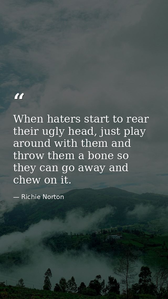 When haters start to rear their ugly head, just play around with them and throw them a bone so they can go away and chew — Richie Norton