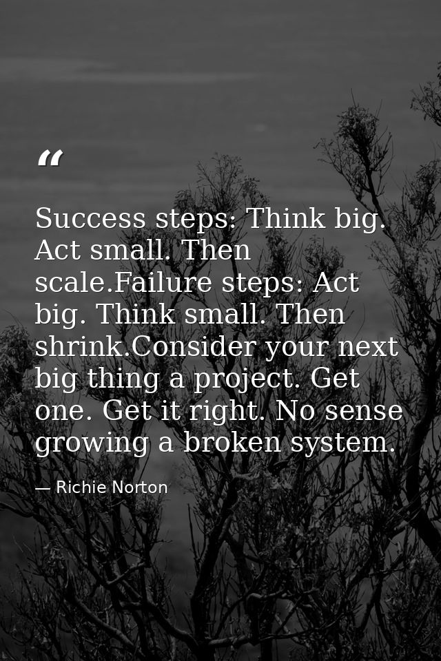 Success steps: Think big. Act small. Then scale.Failure steps: Act big. Think small. Then shrink.Consider your next big  — Richie Norton