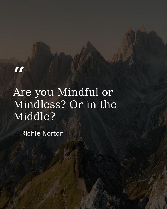 Are you Mindful or Mindless? Or in the Middle? — Richie Norton