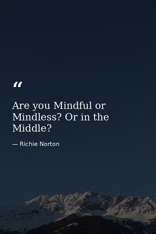 Are you Mindful or Mindless? Or in the Middle? — Richie Norton