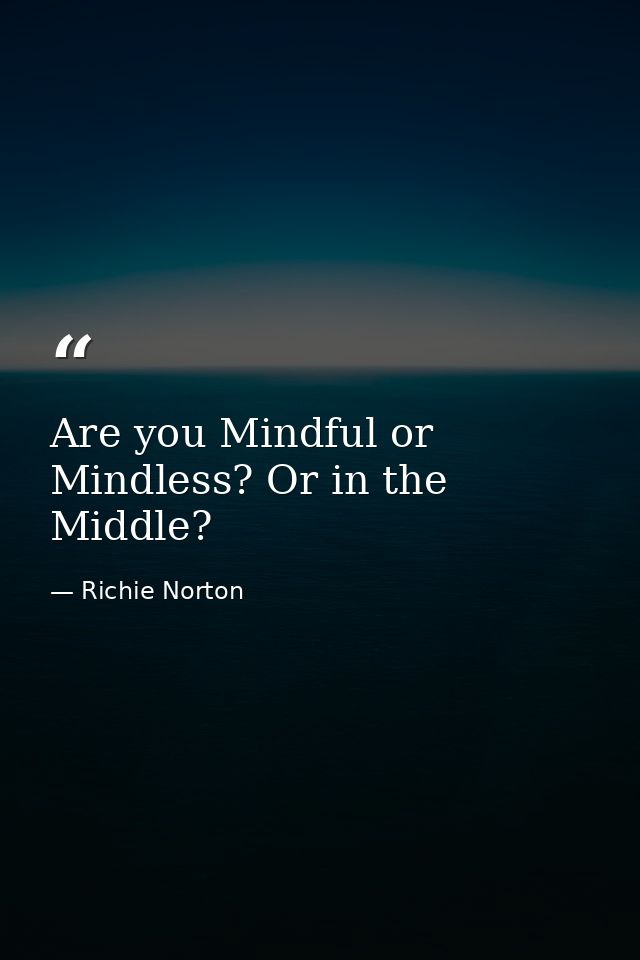 Are you Mindful or Mindless? Or in the Middle? — Richie Norton
