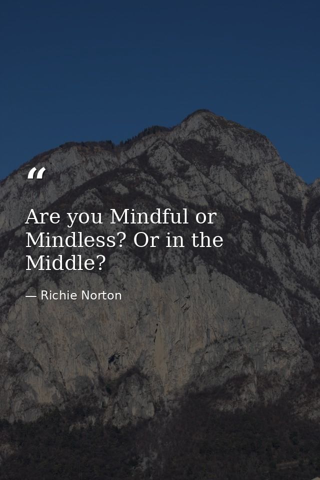 Are you Mindful or Mindless? Or in the Middle? — Richie Norton