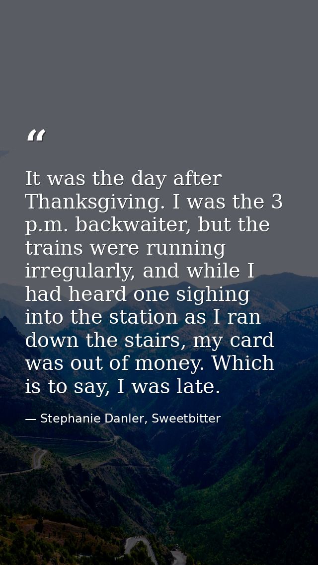 It was the day after Thanksgiving. I was the 3 p.m. backwaiter, but the trains were running irregularly, and while I had — Stephanie Danler, Sweetbitter