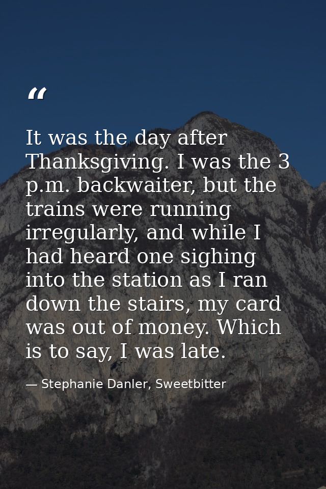 It was the day after Thanksgiving. I was the 3 p.m. backwaiter, but the trains were running irregularly, and while I had — Stephanie Danler, Sweetbitter