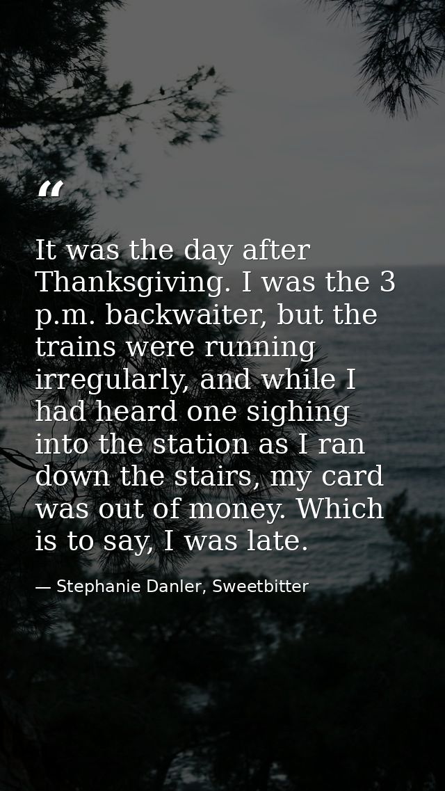 It was the day after Thanksgiving. I was the 3 p.m. backwaiter, but the trains were running irregularly, and while I had — Stephanie Danler, Sweetbitter