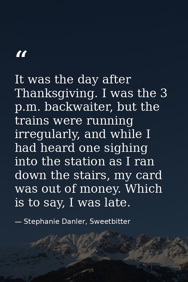 It was the day after Thanksgiving. I was the 3 p.m. backwaiter, but the trains were running irregularly, and while I had — Stephanie Danler, Sweetbitter