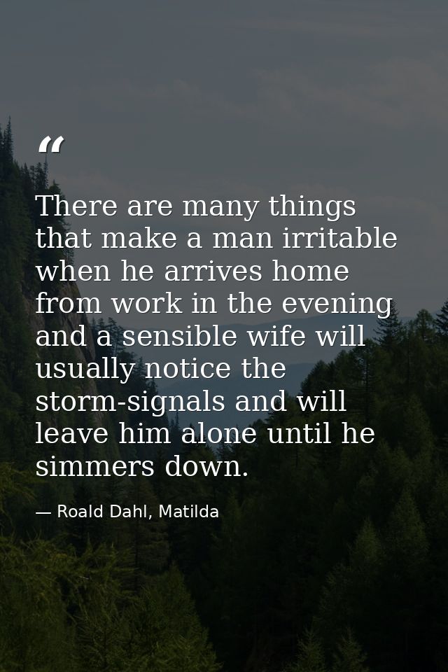 There are many things that make a man irritable when he arrives home from work in the evening and a sensible wife will u — Roald Dahl, Matilda