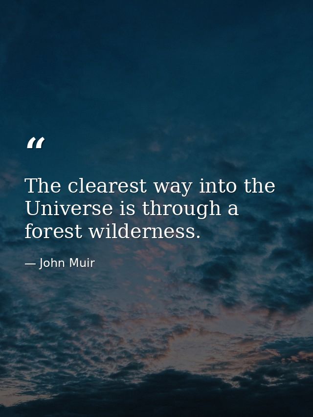 The clearest way into the Universe is through a forest wilderness. — John Muir