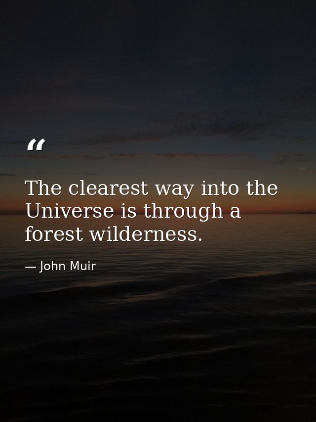 The clearest way into the Universe is through a forest wilderness. — John Muir